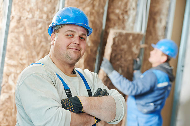 Best Insulation Installation Services in Eudora, KS